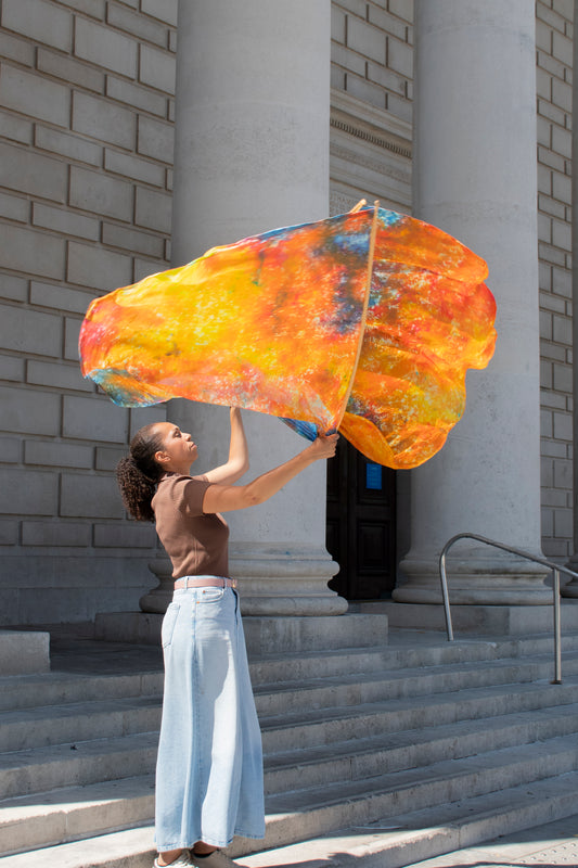 Wings of Fire